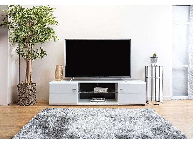 Mobile TV REX