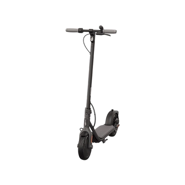 E-Scooter NINEBOT BY SEGWAY Kickscooter F20D