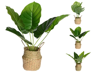 Plante artificielle PALM