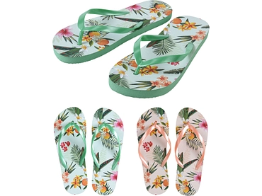 Flip-Flops FLIP