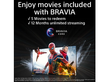 LED-Fernseher SONY 65''/163.9 cm