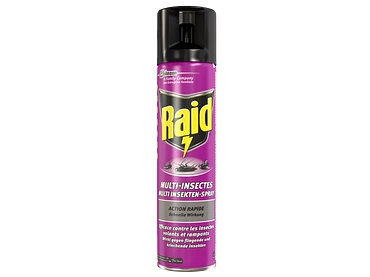 Spray multi-insectes RAID violet