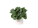 Plante artificielle MANGAVE
