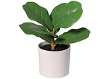 Plante artificielle MANGAVE