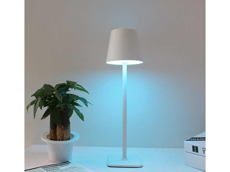 Lampada ricaricabile tramite USB LED ALVINA