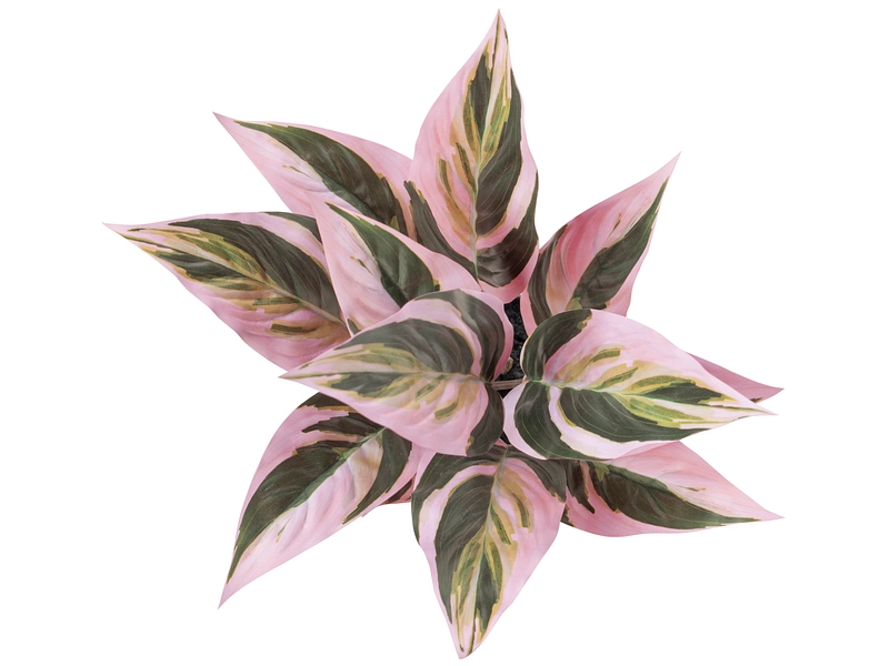 Pianta artificiale RED