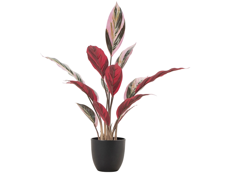 Pianta artificiale RED