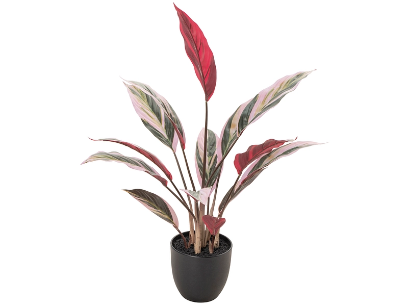 Pianta artificiale RED