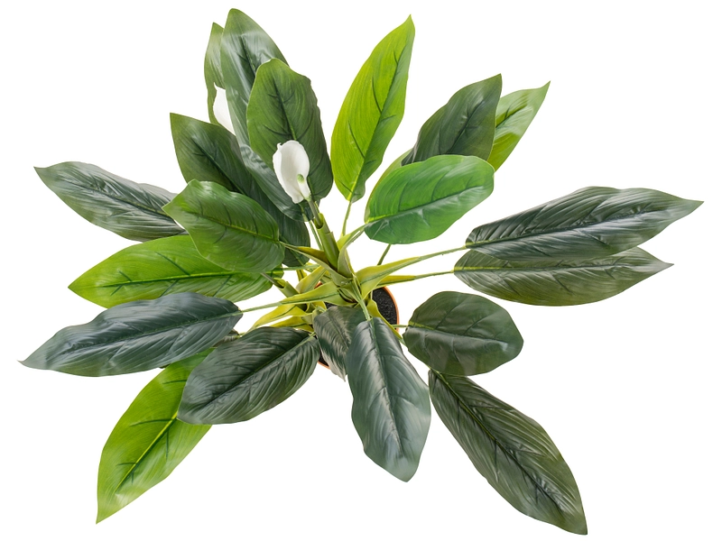 Pianta artificiale ELLA