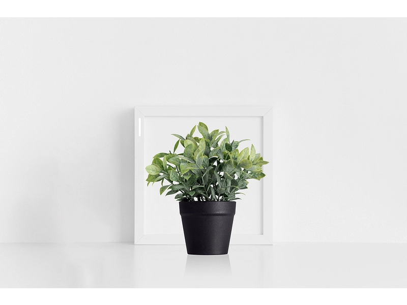 Künstliche Pflanze FLORIAN