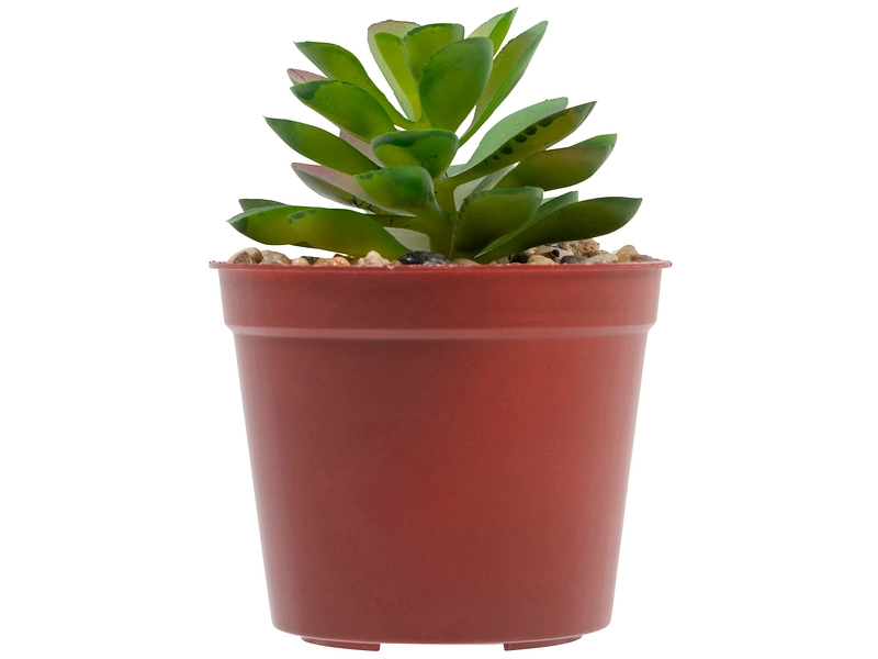 Pianta artificiale LOLA