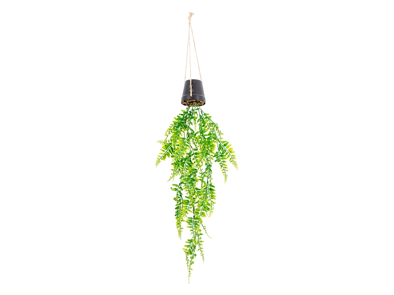 Plante artificielle LIA