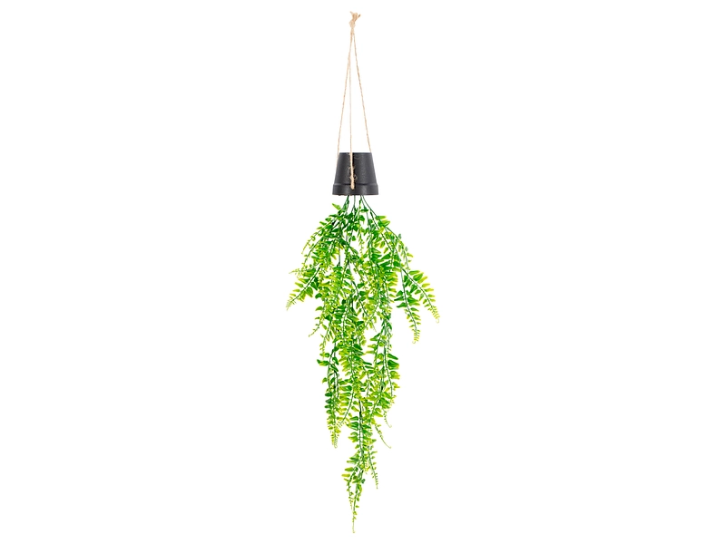 Plante artificielle LIA