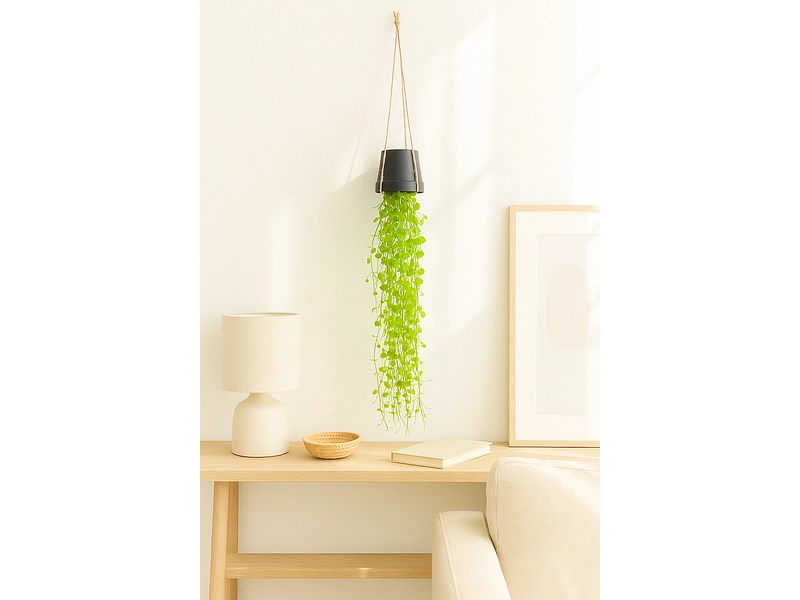 Plante artificielle LIA