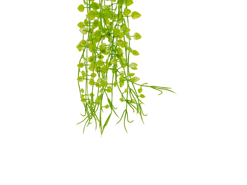 Plante artificielle LIA