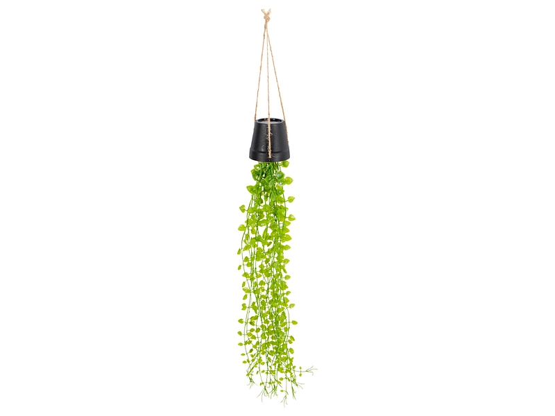 Plante artificielle LIA