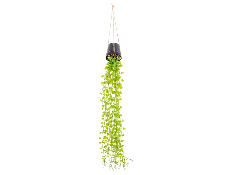 Plante artificielle LIA