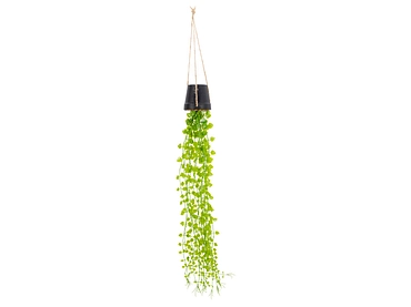 Plante artificielle LIA
