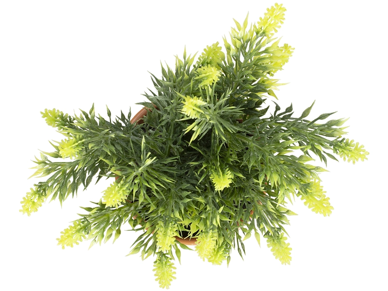 Plante artificielle HUGO