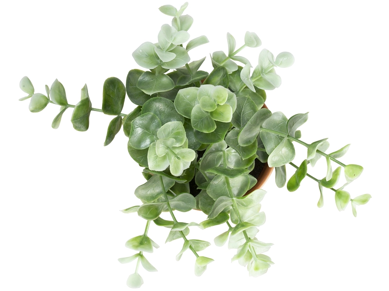 Pianta artificiale HUGO Pianta artificiale HUGO