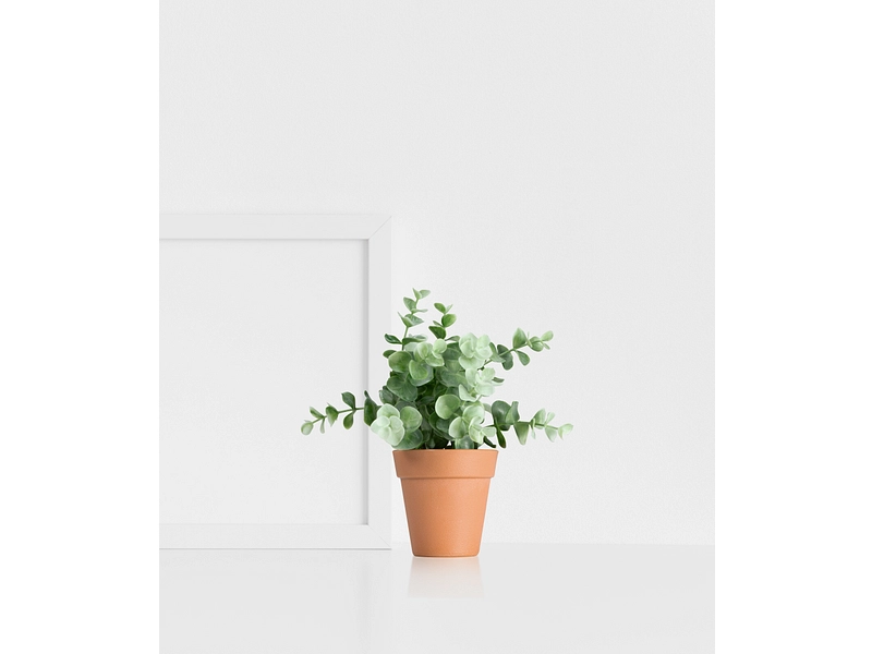 Pianta artificiale HUGO Pianta artificiale HUGO