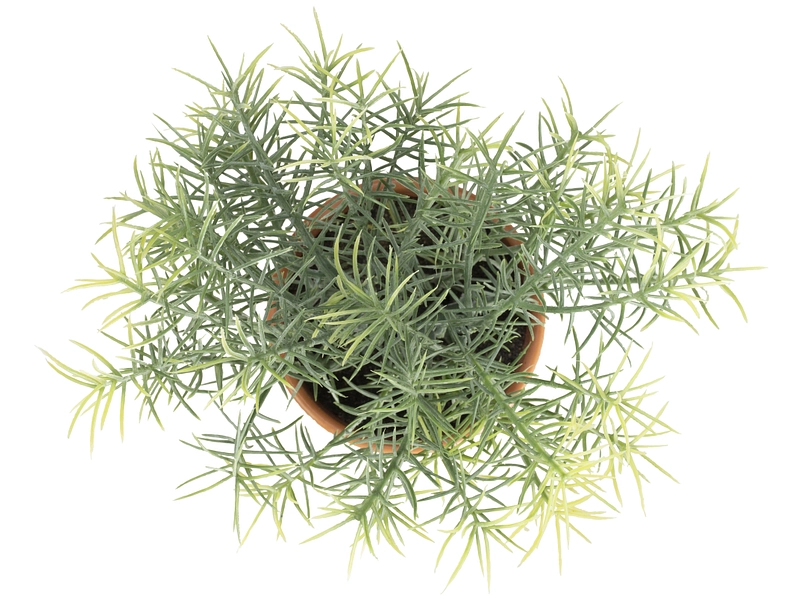 Plante artificielle HUGO