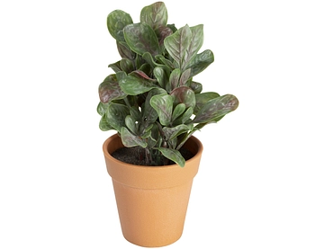 Plante artificielle HUGO