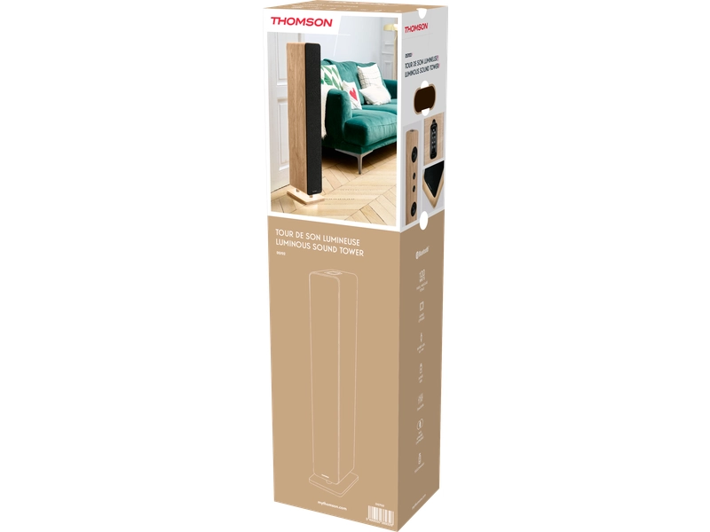 Haut-parleur THOMSON DS702