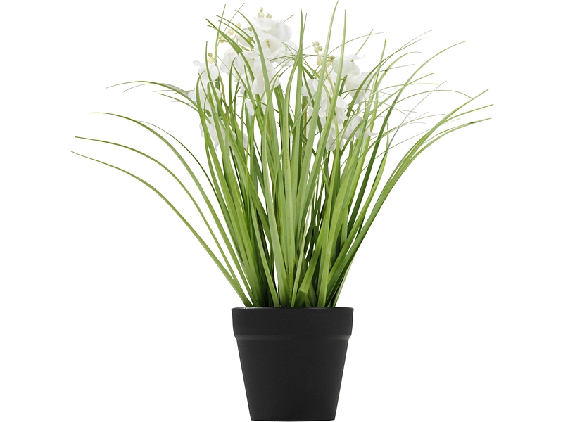 Pianta artificiale NIA