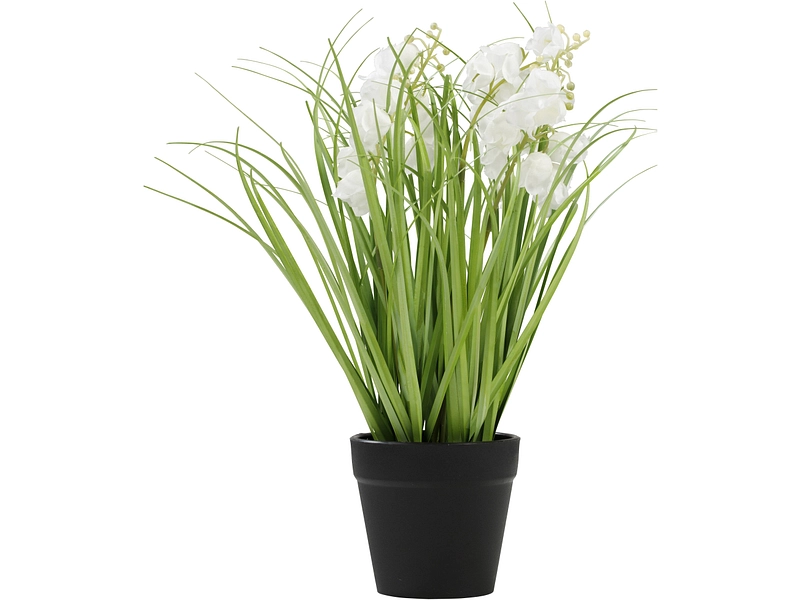 Pianta artificiale NIA