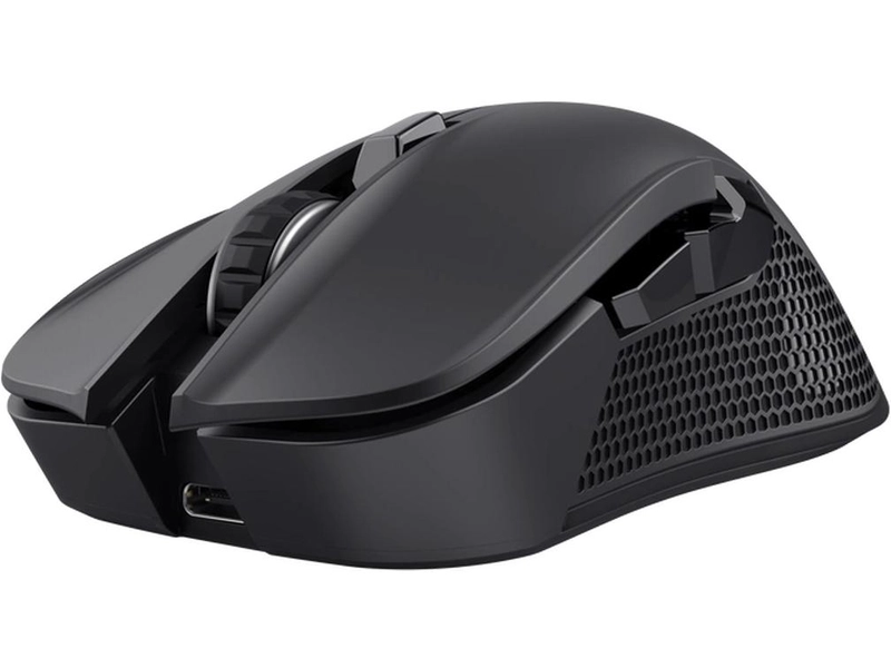 Souris TRUST GXT923