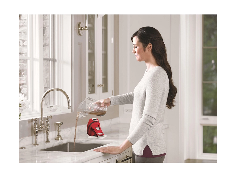 BISSELL Aspirateur laveur