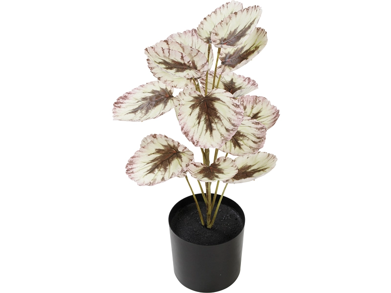 Kunstblume CELYA Kunstblume CELYA