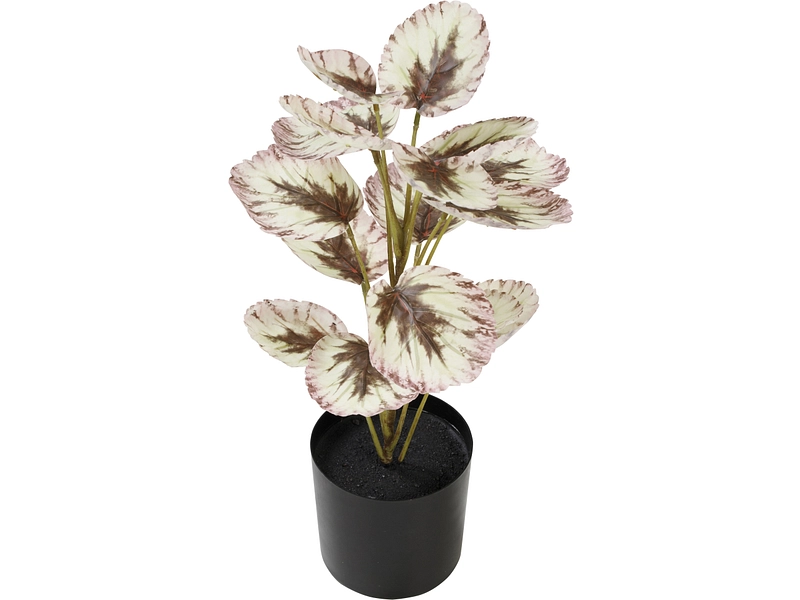 Kunstblume CELYA Kunstblume CELYA