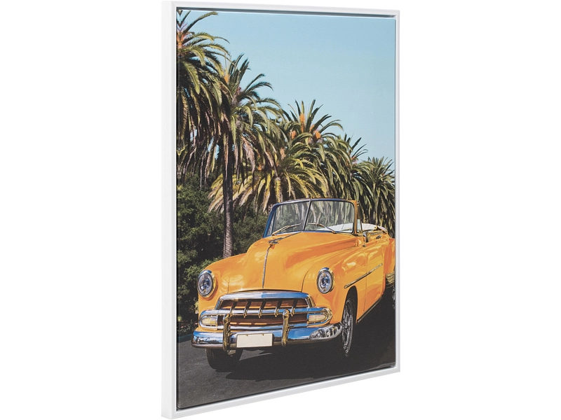 Toile imprimée ROVER 1 pièce multicolore