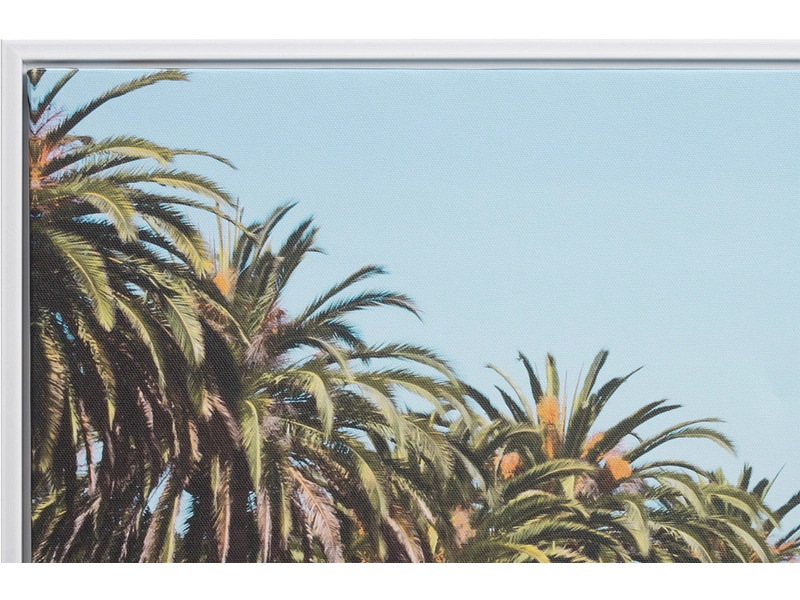 Toile imprimée ROVER 1 pièce multicolore