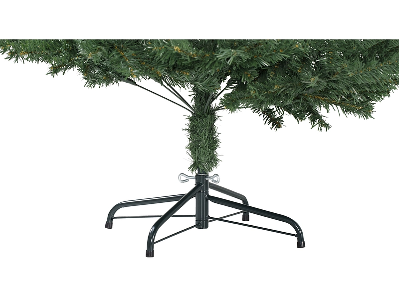 Tanne CHRISTMAS TREE Tanne CHRISTMAS TREE