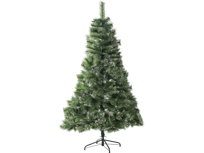Tanne CHRISTMAS TREE Tanne CHRISTMAS TREE