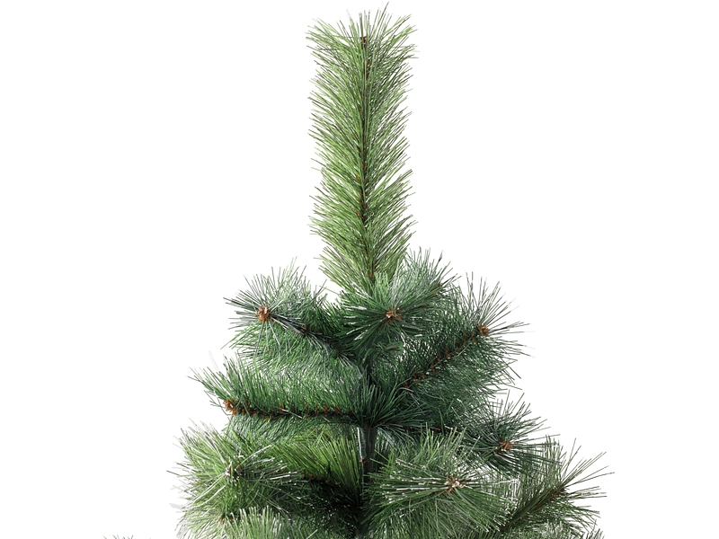 Tanne CHRISTMAS TREE Tanne CHRISTMAS TREE