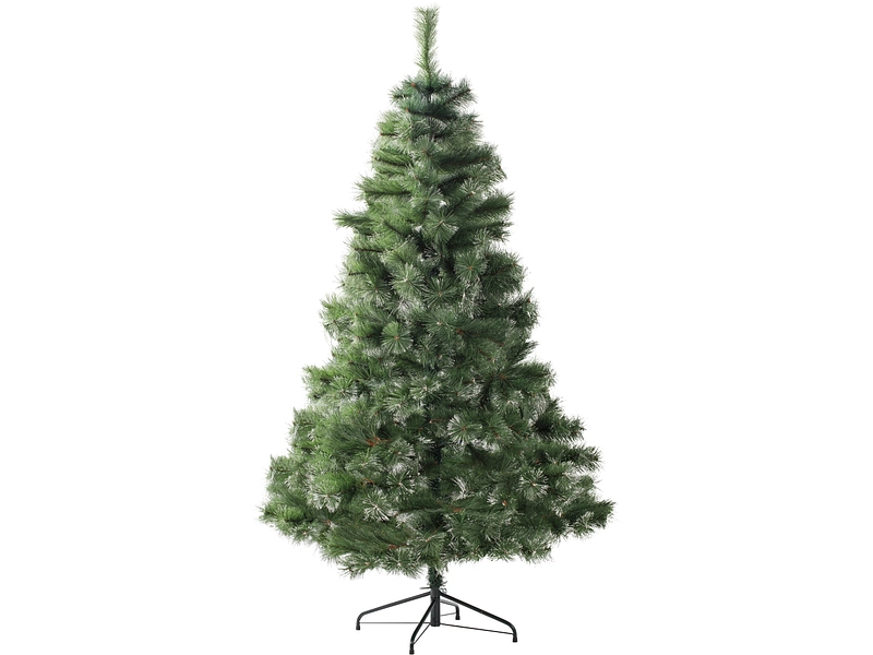 Tanne CHRISTMAS TREE Tanne CHRISTMAS TREE