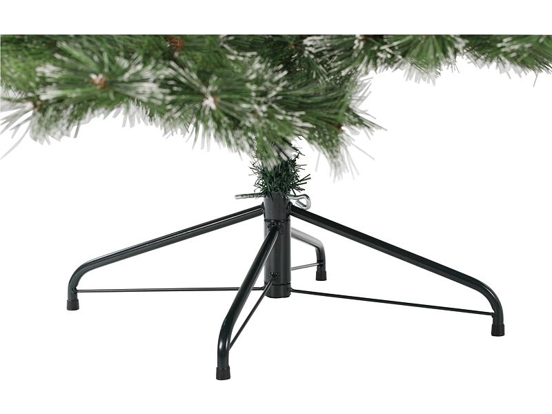 Tanne CHRISTMAS TREE Tanne CHRISTMAS TREE