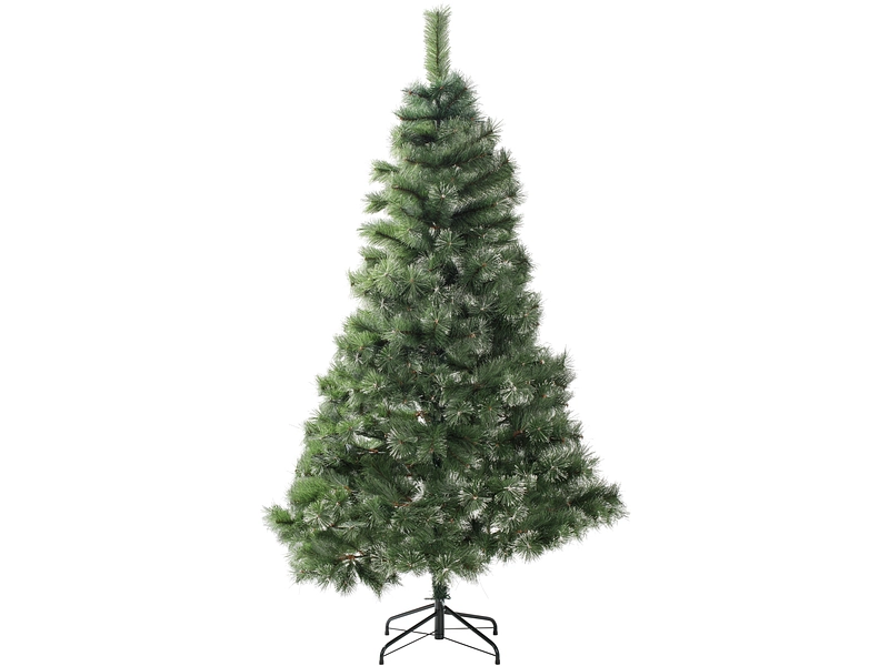 Tanne CHRISTMAS TREE Tanne CHRISTMAS TREE