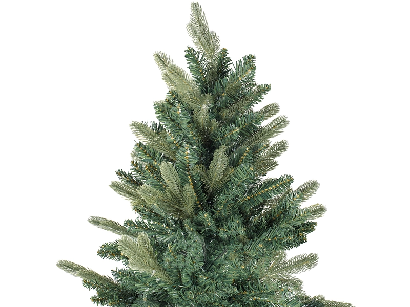 Tanne CHRISTMAS TREE