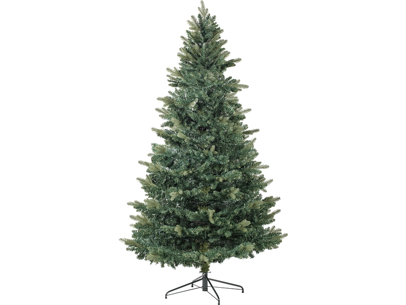 Tanne CHRISTMAS TREE