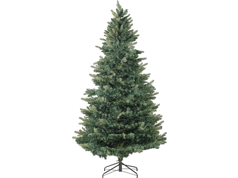 Tanne CHRISTMAS TREE