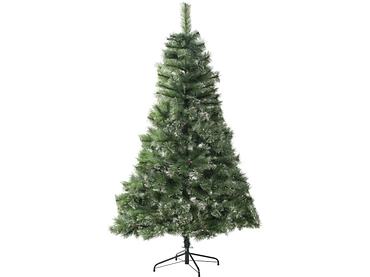 Tanne CHRISTMAS TREE