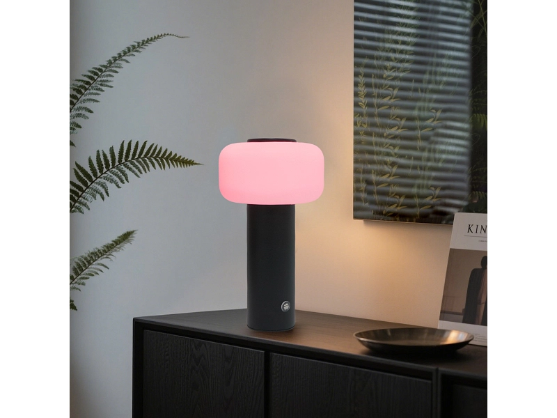 Tischlampe LED / Über USB aufladbar LUNOVA variable Intensität