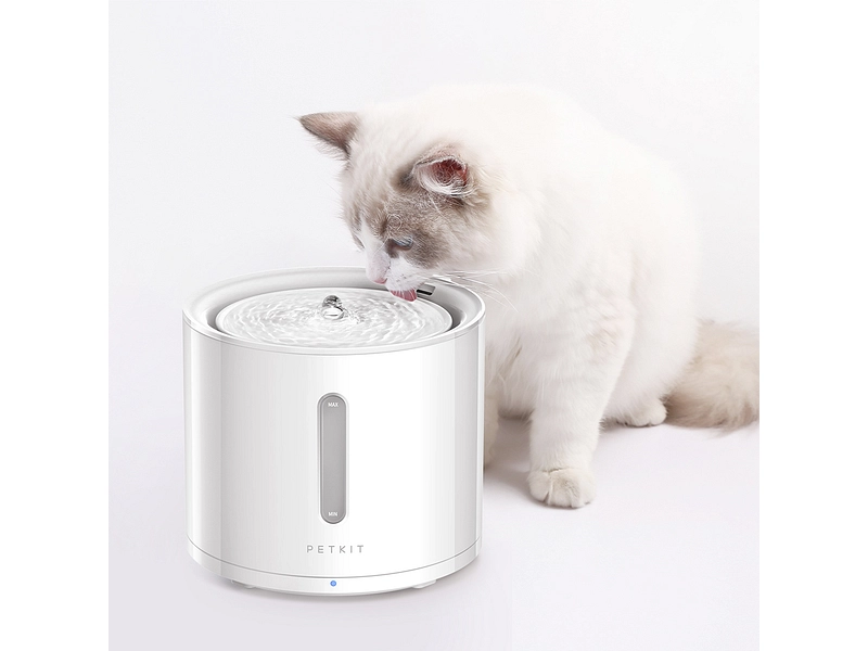 Dispenser acqua PETKIT
