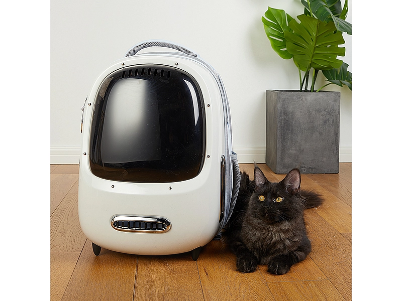 Borsa per animali PETKIT