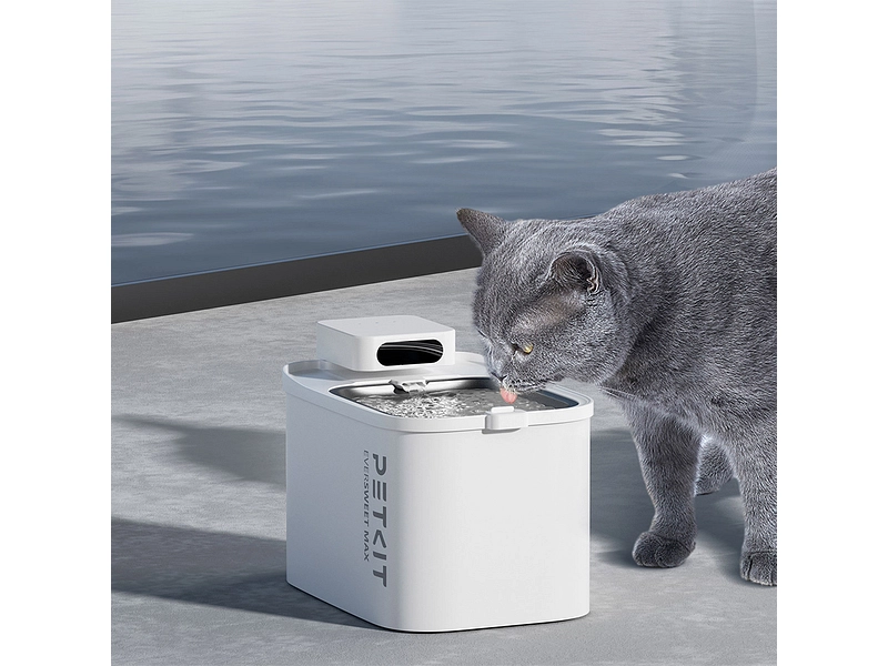 Wasserspender PETKIT